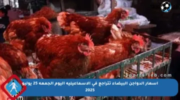 أسعار الدواجن البيضاء تتراجع في الإسماعيلية اليوم الجمعة 25 يوليو 2025
